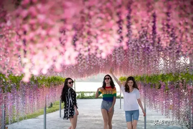 ��Ʊ����ͣ�ʮ�������ˮʥ�طŴ��У��ſ�ˮĻ��Ӱ���λñ�����