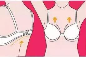 内衣为什么动不动就往上跑？主要因为你内衣没穿对图片