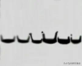 Western Blotting技术之电泳