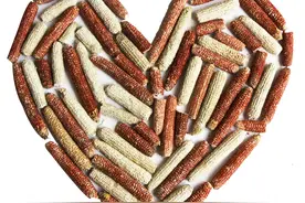 玉米芯致富秘诀，看下如何让玉米芯变废为宝，每亩增收几百元图片