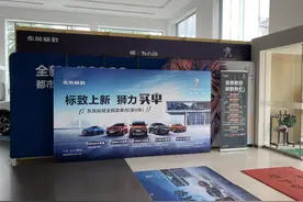 扭力梁后悬罪无可恕？标致全新SUV配置高还便宜，中国人就是不买图片