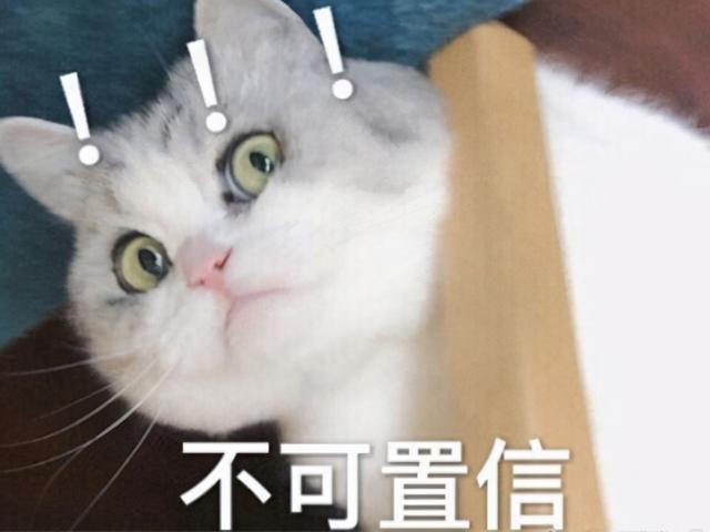 原班人马打造！承包00后童年的洛克王国，时隔11年终于出手游