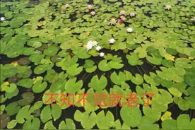 从《三十而立》联想古人对0岁到100岁对年龄的称谓图片