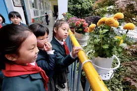 文明行为融入校园，宁波市江北区中小学开展“最干净校园”行动图片