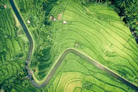 心眼少，能扛事，格局大的星座，一直以来活得明明白白，通通透透图片