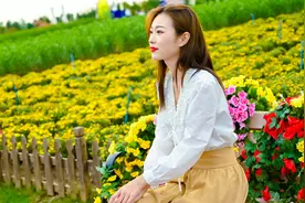 秋季赏花指南，盐城大丰荷兰花海邂逅百合花图片