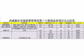 西咸新区655套房源价格公示   起价14519元/平方米图片