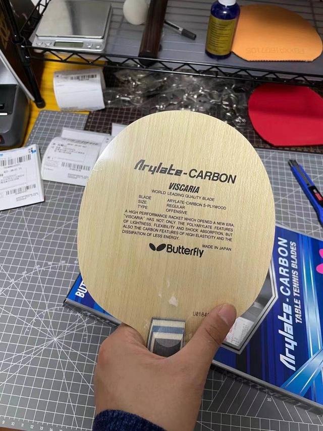 蝴蝶viscaria鱼鳞