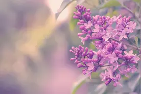 这些细节，说明一个男人真的放下了你图片