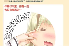 脸肿汉化组“死”了，下一个会是谁呢？图片
