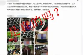 桑葚干是酒精最大的克星？不实图片