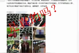 桑葚干是酒精最大的克星？不实图片