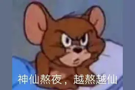 【猫鼠表情包】今日份的表情包来啦图片