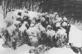1902年，日军集训造成山难，210人进山仅生还11人，发生了什么？图片