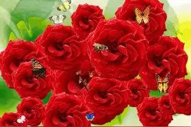 我希望……图片