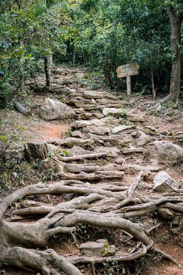 深圳值得征服的10座山，你去过几座？