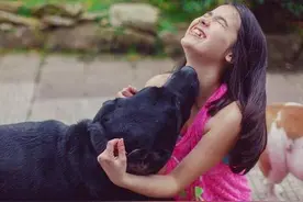 忠诚的狗，用一生来陪伴你图片