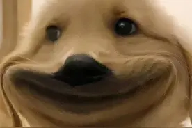 提前三天自动扣费！B 站这波吃相太难看了图片