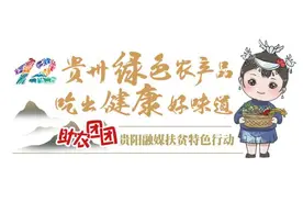 助农团团丨大方吴记老字号，家常必备的炒熟辣椒面图片