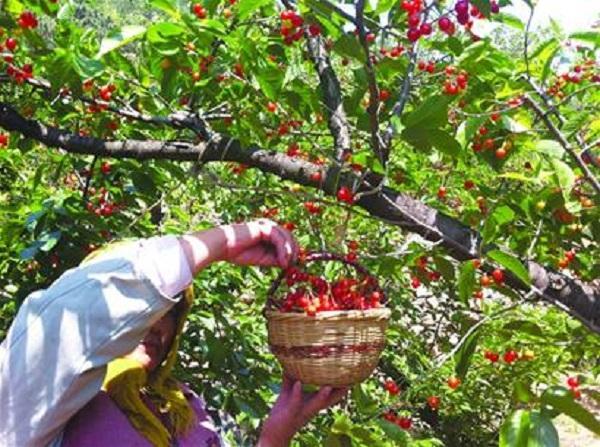 妯辨閲囧悗绠″緱濂?鏉ュ勾鑵板寘榧撳緱鍦? onerror=