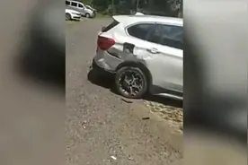 突然加速刹车失灵 特斯拉再曝失控致严重车祸视频封面