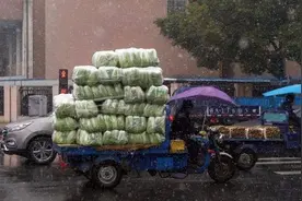 2020年好多农村人失业，山东小伙却靠一辆三轮车赚了20多万图片