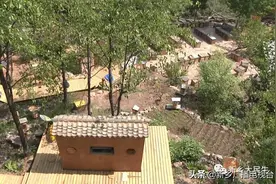 深山俩父子 小蜜蜂酿出甜蜜产业图片