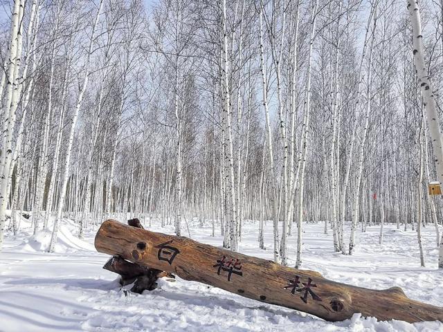 哈哈哈，千万别去漠河，别怪我没提醒你