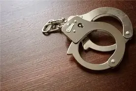 蒙面偷蒜拒不承认 "零口供"犯罪嫌疑人终获刑图片