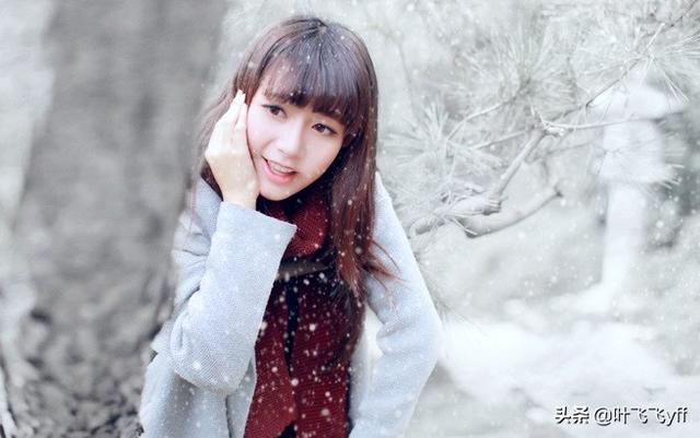 情感散文：镌刻在灵魂深处的《卡农》