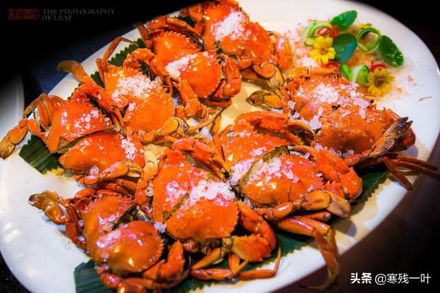 15只一斤的花胶大概要卖多少钱 1500一斤的花胶贵吗