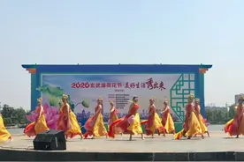 玄武湖？玄武荷！图片