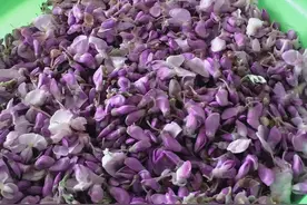 紫藤开花太好看，紫藤花可以吃吗？图片