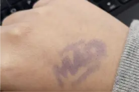 猪肉为什么有的盖蓝章有的盖红章？图片