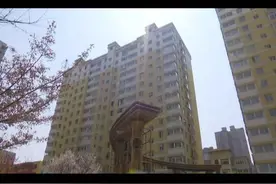 贴告示建议业主拒交物业费 北美枫情小区物业气愤报警图片