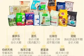 15款狗粮测试：卫仕、冠能表现较好，不推荐澳丽得、蓝氏等3款图片