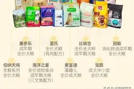 15款狗粮测试：卫仕、冠能表现较好，不推荐澳丽得、蓝氏等3款图片