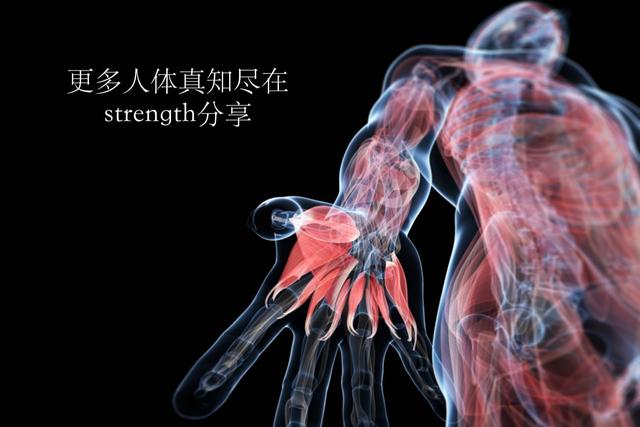 超级干货——一分钟带你了解蛋白质