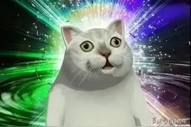 李荣浩，你到底撞脸了多少只猫猫狗狗图片