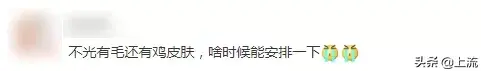 身上鸡皮疙瘩变红一片一片的