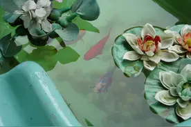 《庄子》中三条鱼的故事，道出了人生的三重境界，值得深思图片