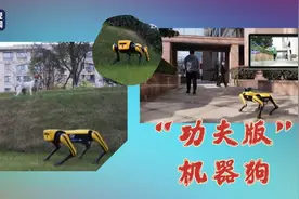 上新！浙大“功夫版”机器狗 帅气后空翻了解一下图片