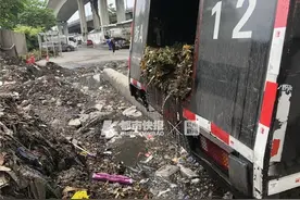 纸巾、包装袋、烟头、口罩……她每天上下班开车过三桥，实在看不过去了：谁在杭州的高架上乱扔垃圾？图片