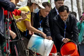 东宁：60万尾大马哈鱼苗放流绥芬河图片