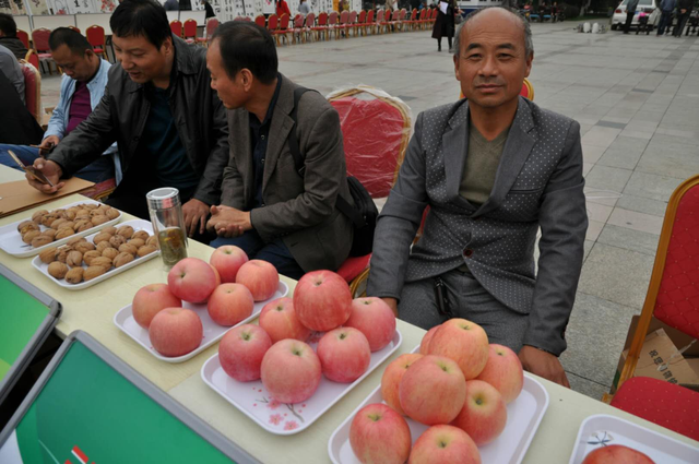 三原丰原红果蔬专业合作社技术部重要通知