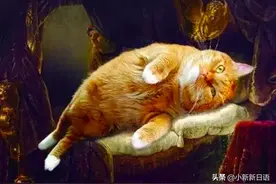 有猫的名画才是真迹，你们人类不懂艺术图片
