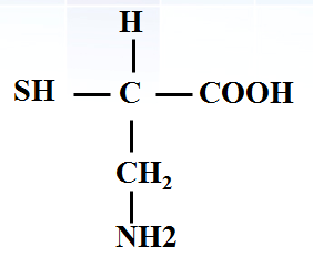 高中生物：蛋白质的基本单位——氨基酸 教学设计