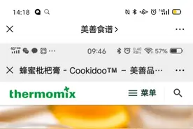 美善品蜂蜜枇杷膏图片