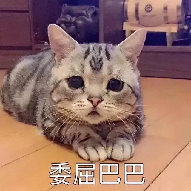 征信报告有逾期利息上浮，征信连累家人吗 配图02