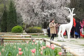 「图集」春色满园争奇斗艳！来宝鸡人民公园共赴春天之约图片
